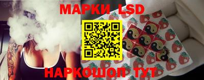 гидра Будённовск