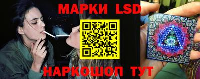 гидра Будённовск