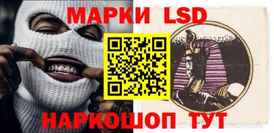 гидра Будённовск