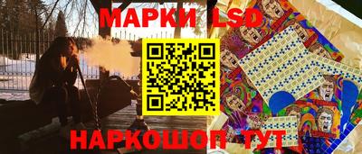 гидра Будённовск