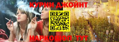 гидра Будённовск